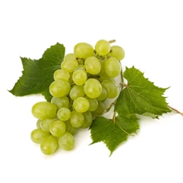 Raïm. Fruites Churry